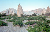 Cappadocia, the Rose valley